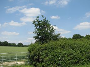 Greenwich Meridian Marker; England; Surrey; Oxted